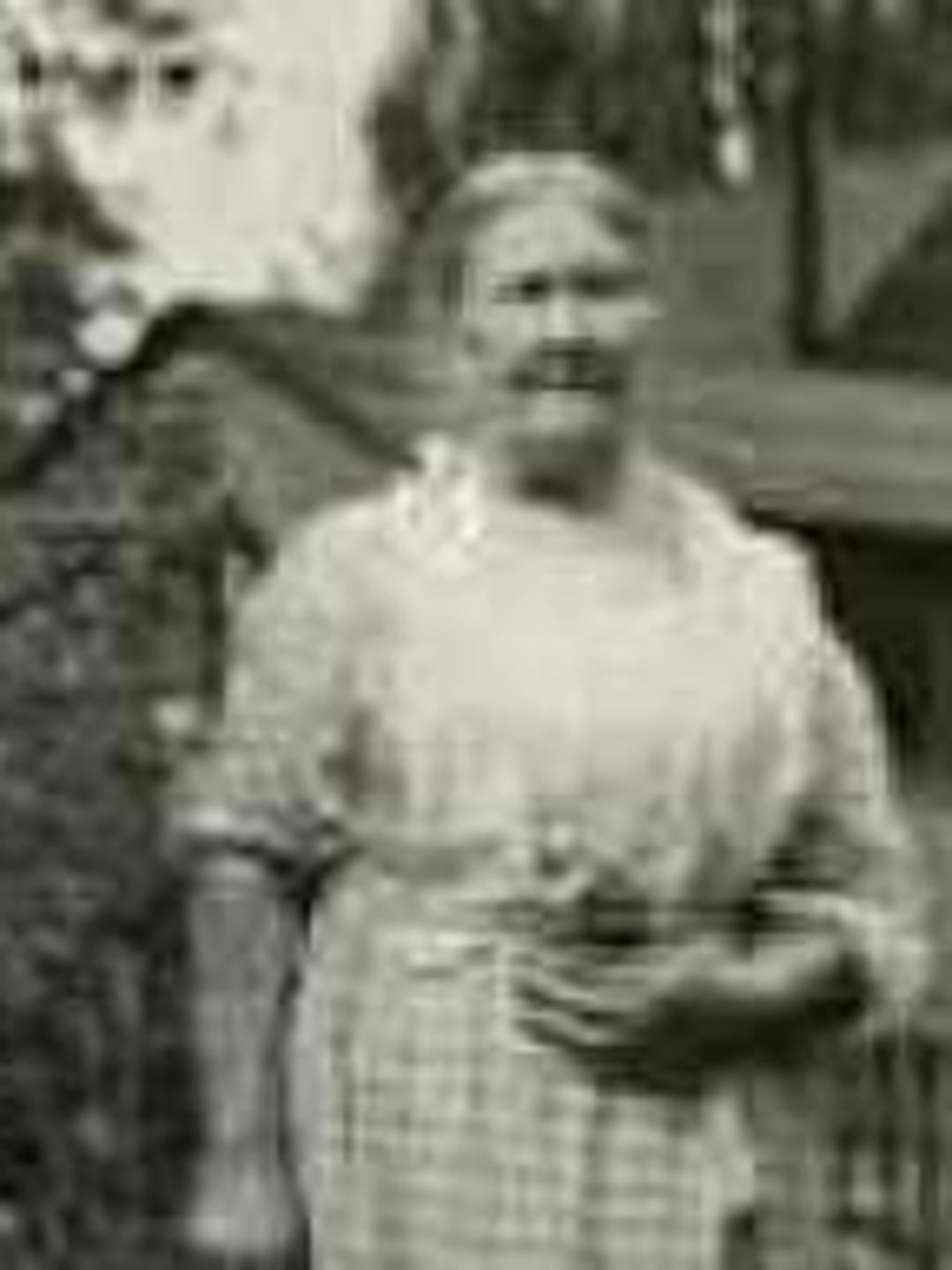 Adelphena Hanson (1845 - 1928) Profile